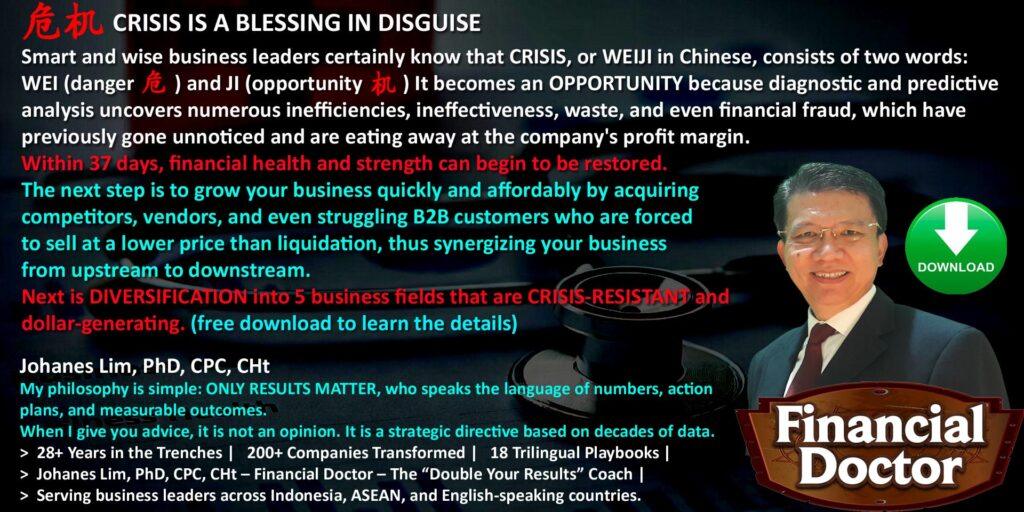 bod, c-level, ceo, executive coaching, dr johanes lim, fractional CEO